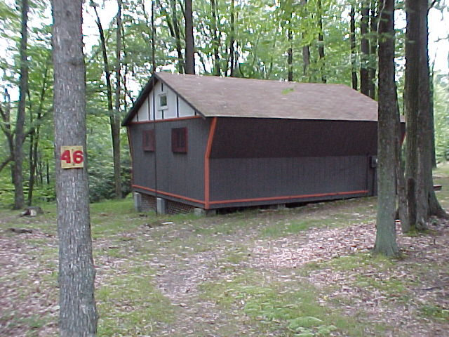 46